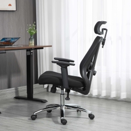 Ergonomic Chair with 2D Adjustable Headrest, 3D Arms, and 2D Lumbar Support
