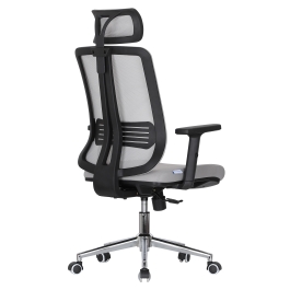 EOATO Ergonomic Chair C1