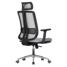 EOATO Ergonomic Chair C1